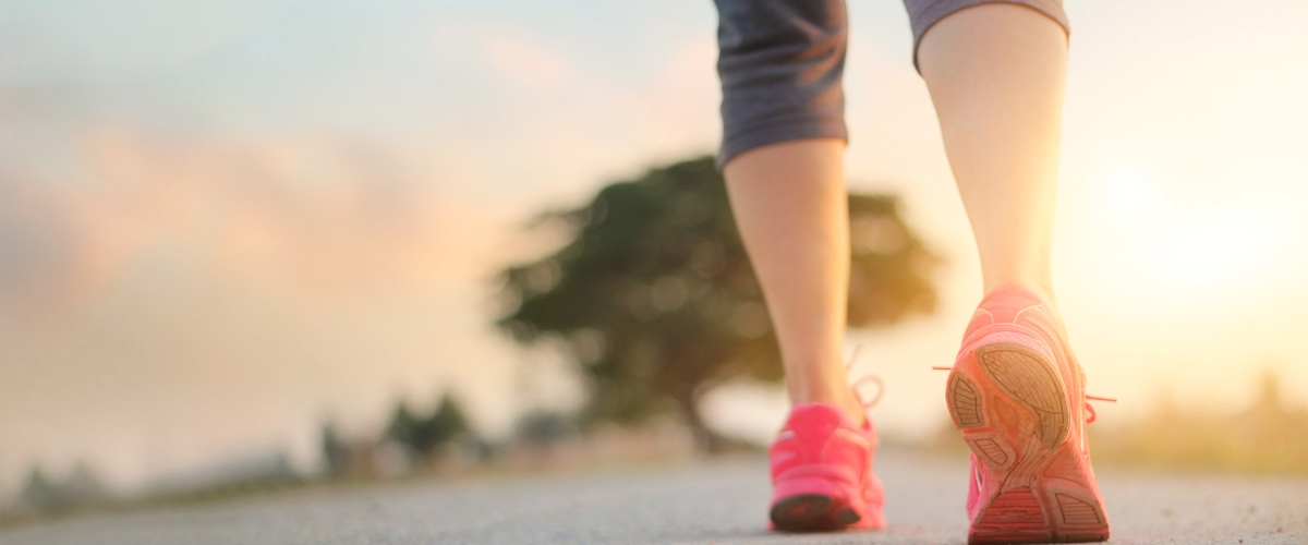 WF101_Website_Header_3_1200_500
